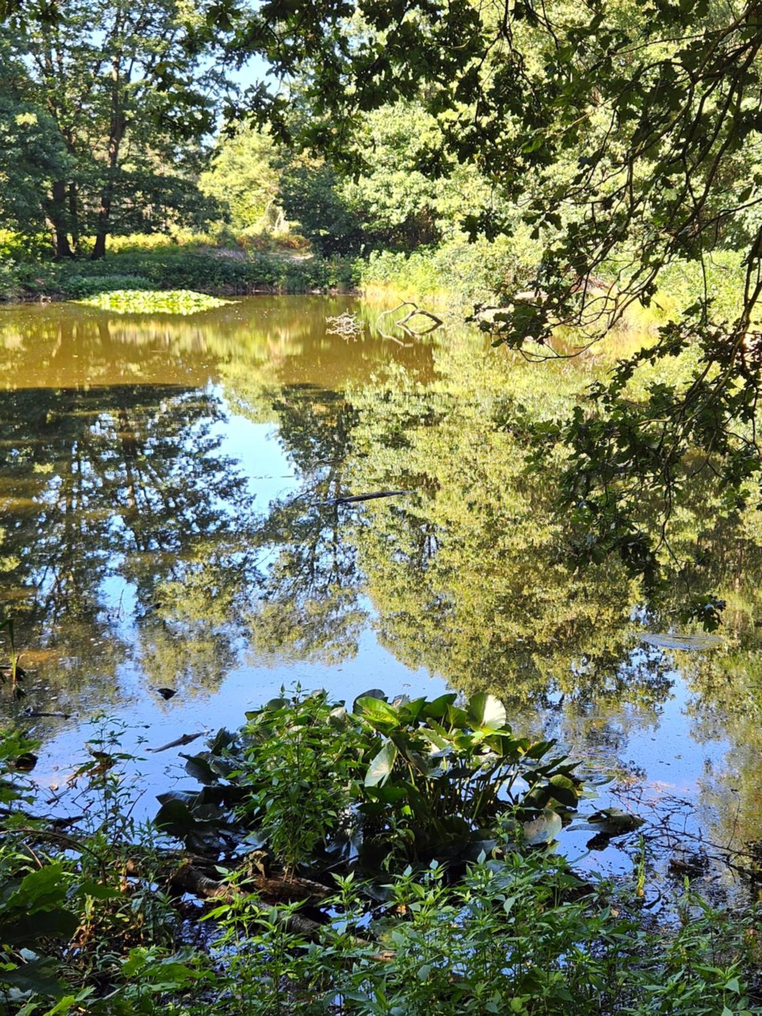 Artz Of Nature