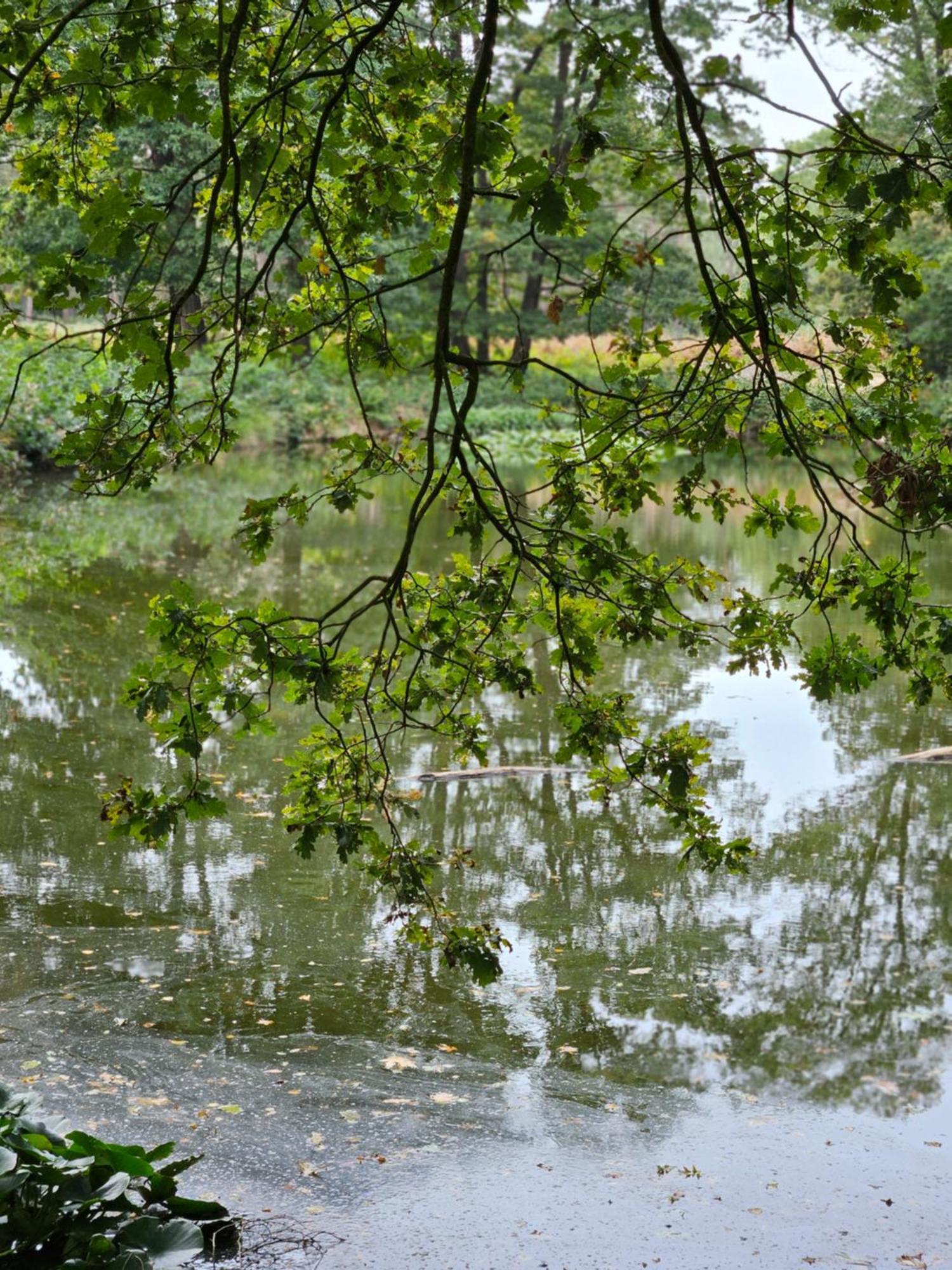 Apartment Artz Of Nature Emmen